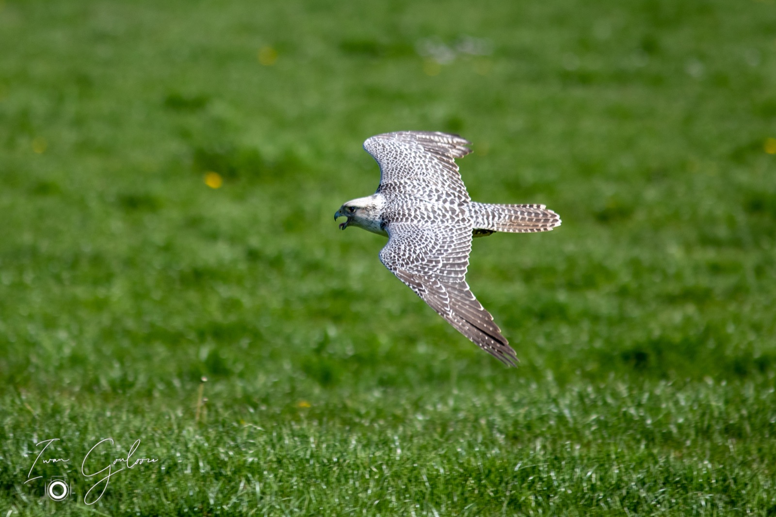 18 april 2022 102925 1DX49651